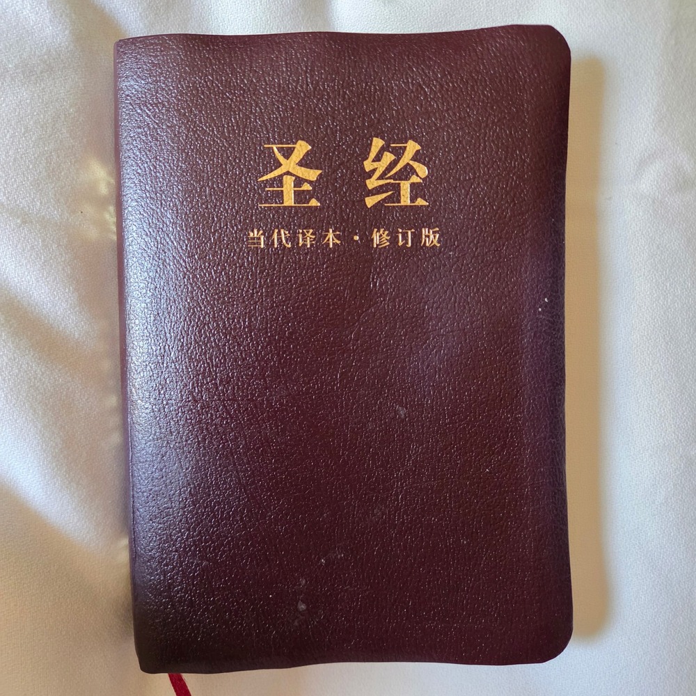 Zondervan Chinese Contemporary Bible Large Print Burgundy CCB 9781563208119